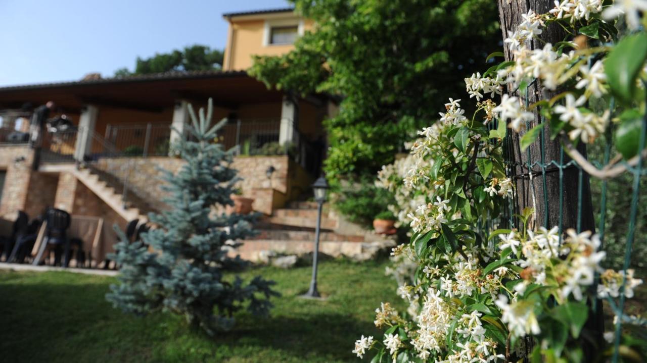 Casafe Tra Sogno E Realta Bed & Breakfast Narni Scalo ภายนอก รูปภาพ