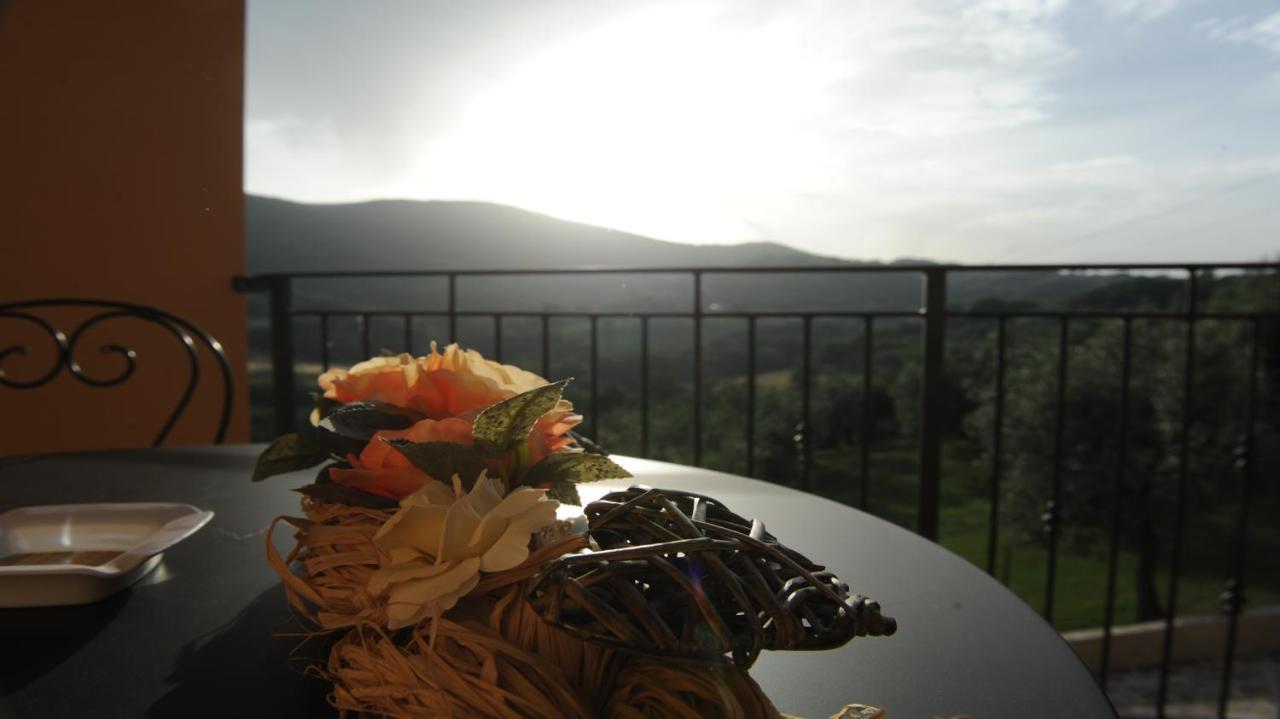 Casafe Tra Sogno E Realta Bed & Breakfast Narni Scalo ภายนอก รูปภาพ