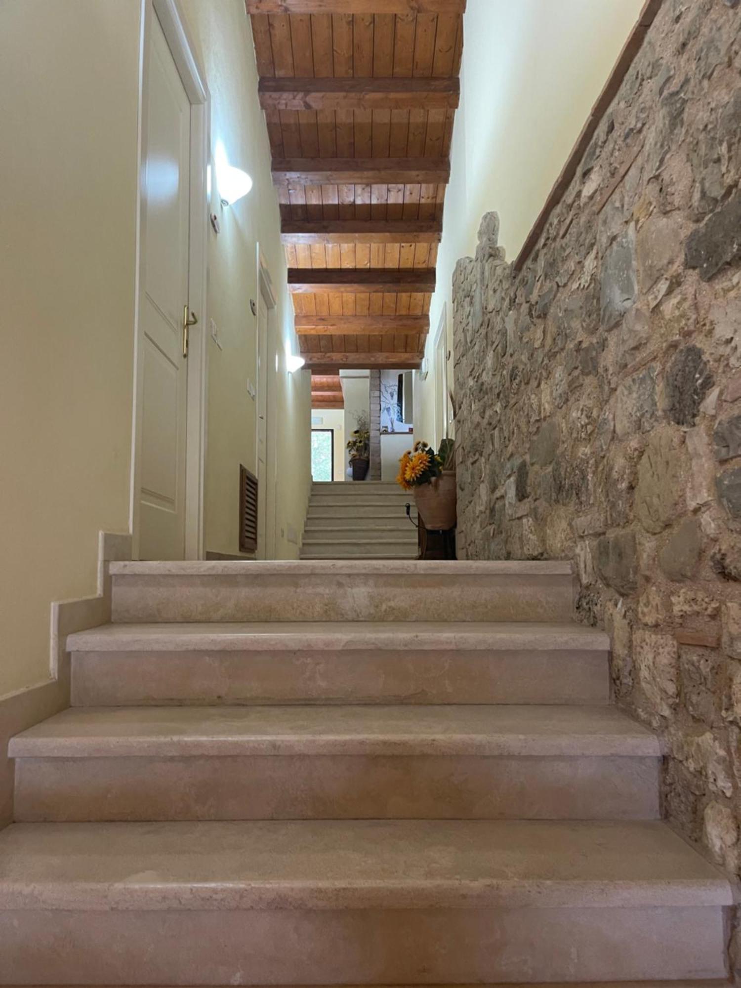 Casafe Tra Sogno E Realta Bed & Breakfast Narni Scalo ภายนอก รูปภาพ